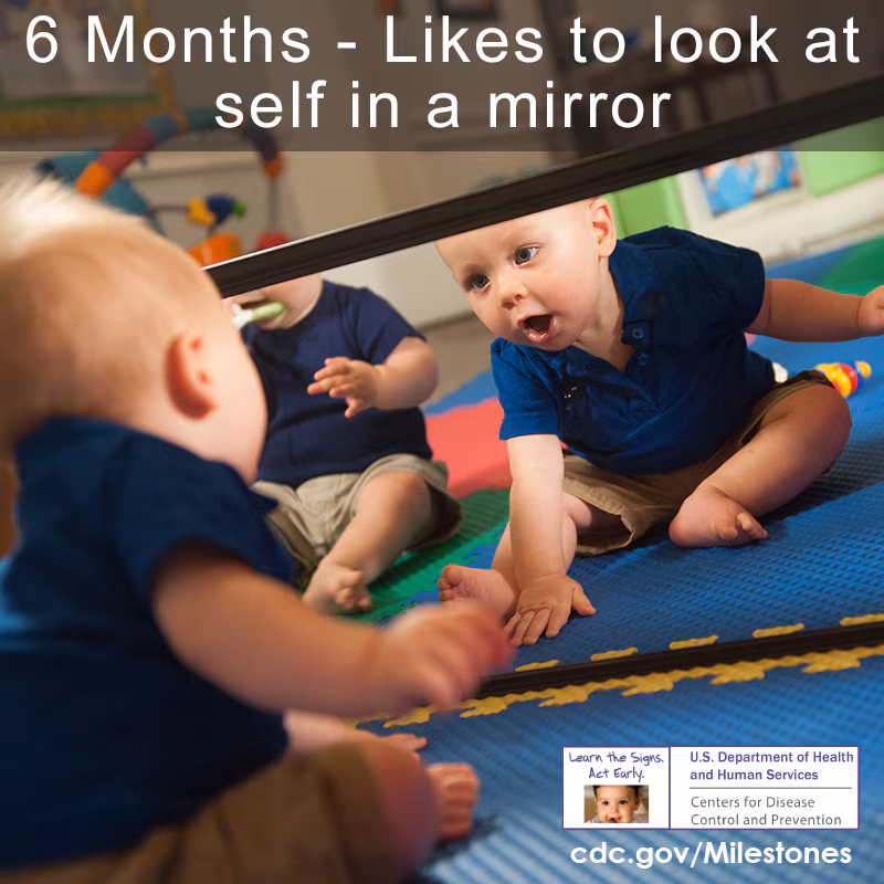 Likes to look at self in mirror