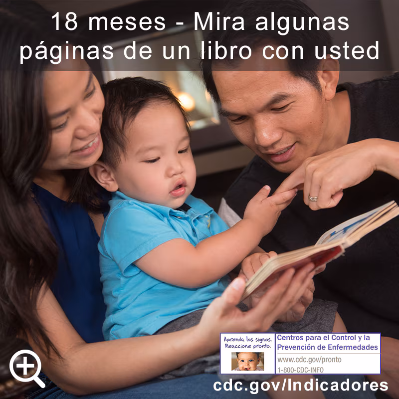 Mira algunas páginas de un libro con usted