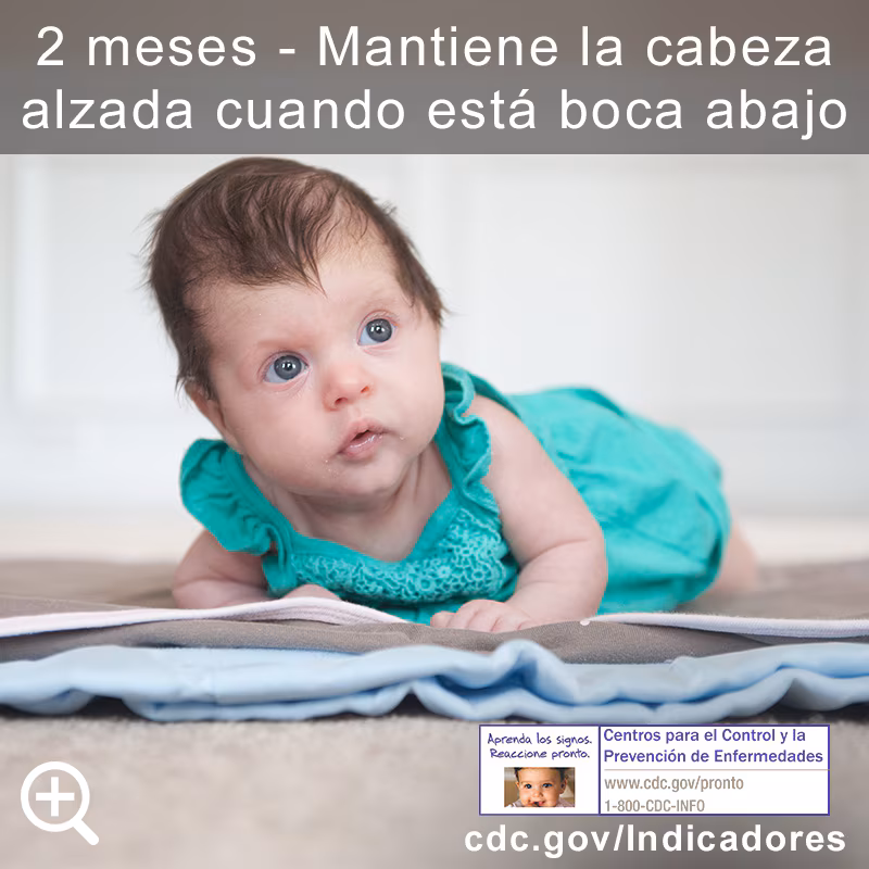 Mantiene la cabeza alzada cuando está boca abajo