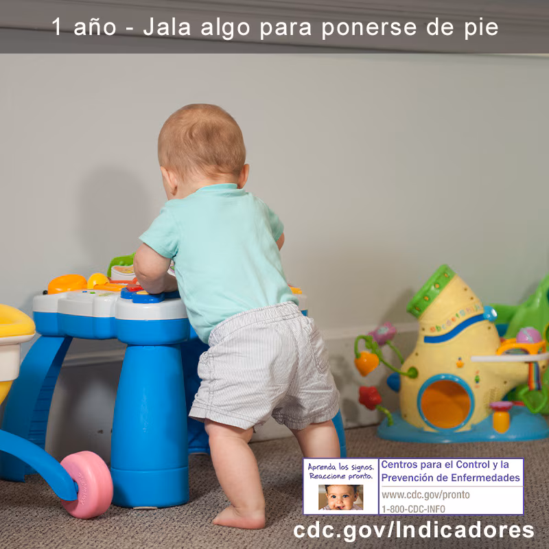 Jala algo para ponerse de pie 2
