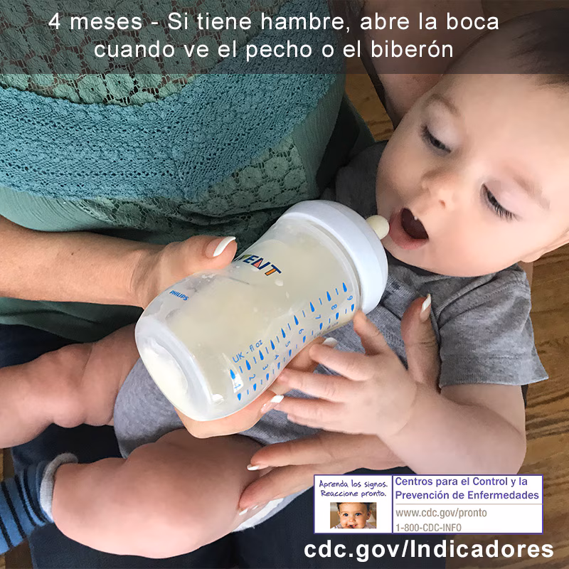 Si tiene hambre, abre la boca cuando ve el pecho o el biberón