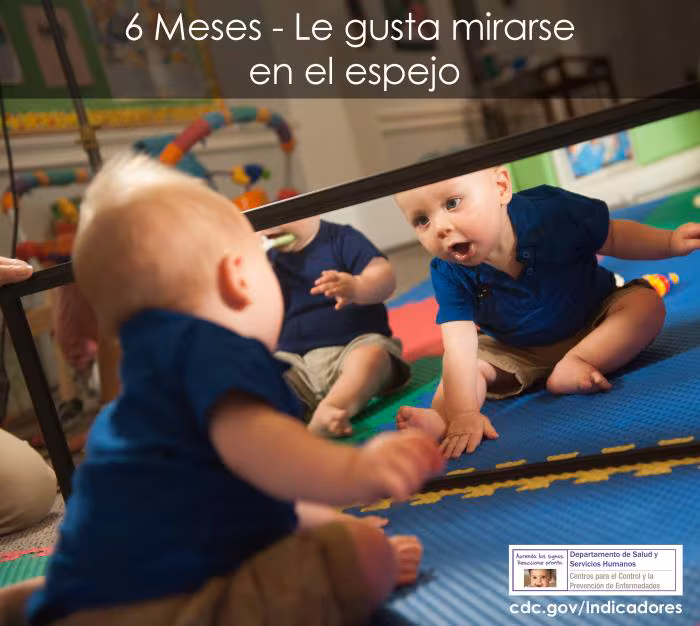 Le gusta mirarse en el espejo
