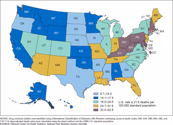 Figure 1 shows a map of the United States with colors indicating levels of the rate of death from drug overdoses in 2019.