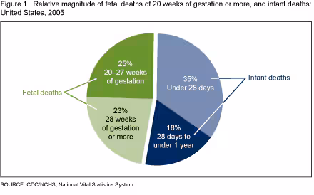 Figure 1 is a pie chart showing the relative magnitude of fetal deaths compared with infant deaths in 2005.