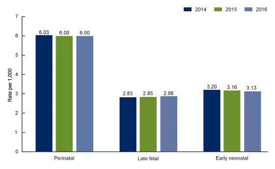 Figure 1 is a bar chart showing perinatal, late fetal, and early neonatal mortality rates for the United States for 2014 through 2016.