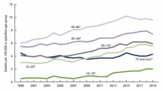 Figure 2 is a six-line chart showing trends in rates in suicide deaths for females by age group from 1999 through 2019.