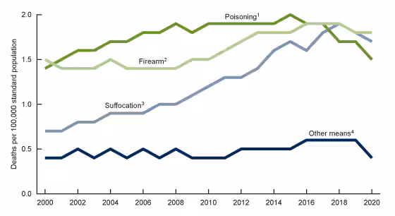 Figure 4 is a line chart of age-adjusted suicide rates for females by means of suicide for the United States for 2000–2020.