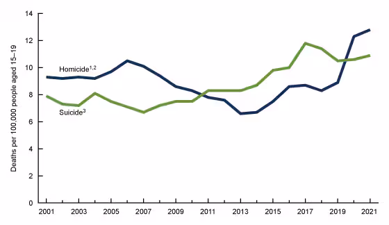 Figure 3 is a line chart of suicide and homicide death rates for people aged 15–19 in the United States, 2001–2021.