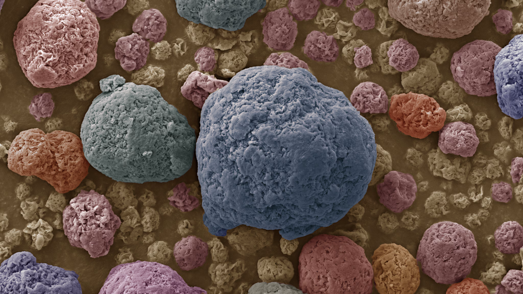 nanoclay particles