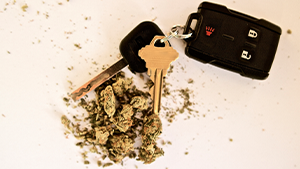 cannabis and driving Car keys next to cannabis buds. Workplace safety topic: cannabis and driving. Image credit: LeslieLauren / Images Plus