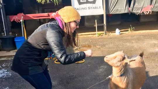 White woman with a coat and hat holding her hand out to goat.