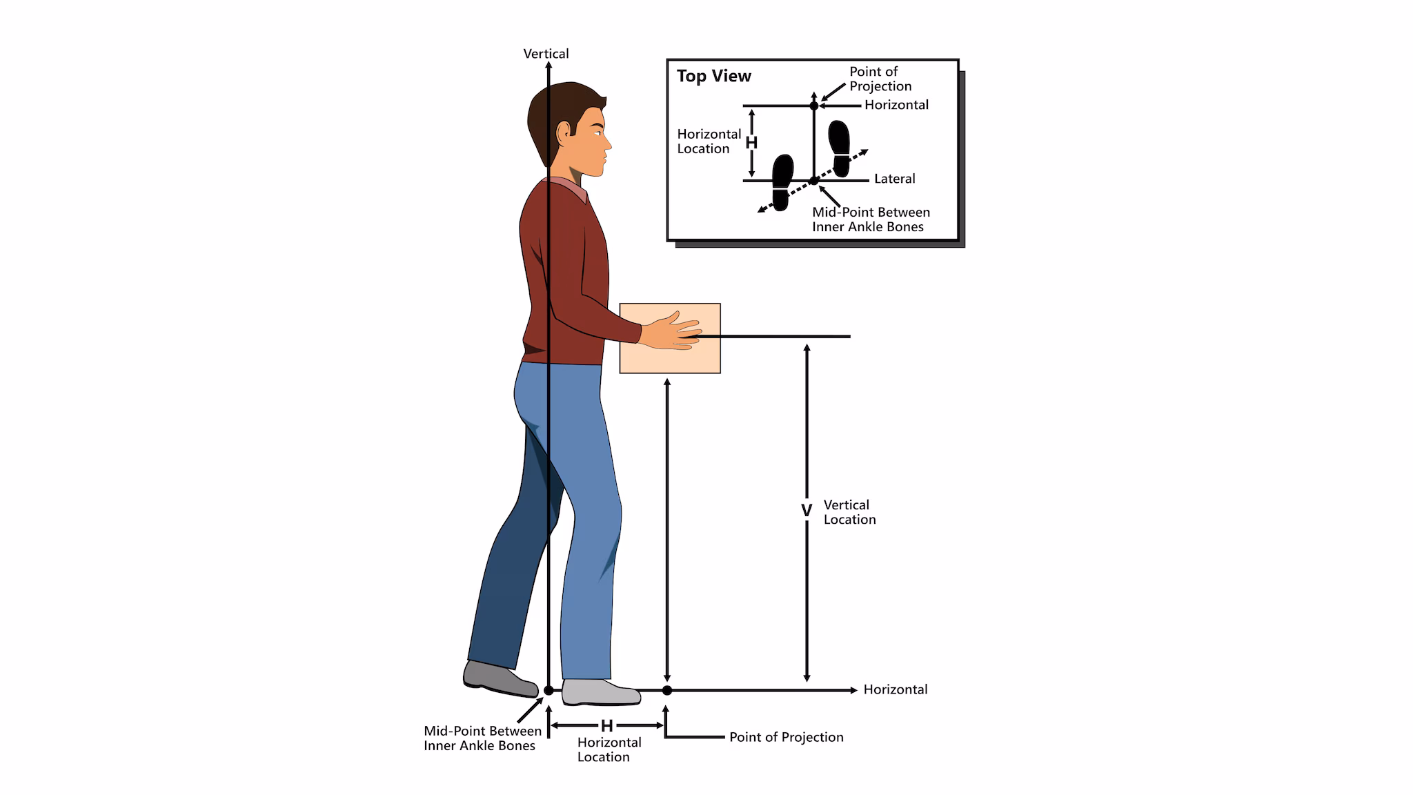An illustration of a man using the revised NIOSH lifting equation to safely lift a cardboard box.