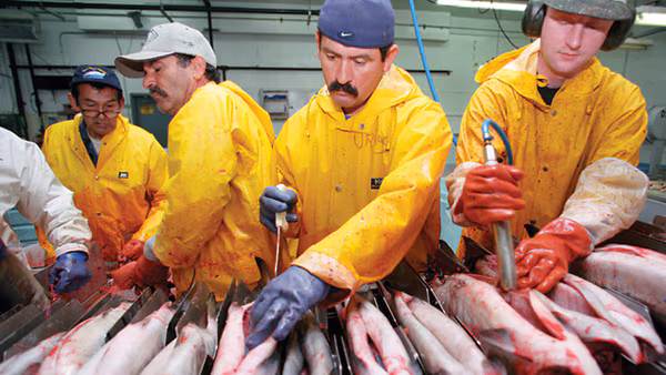 Seafood processors from different countries working together. Image Credit: American Seafoods Group