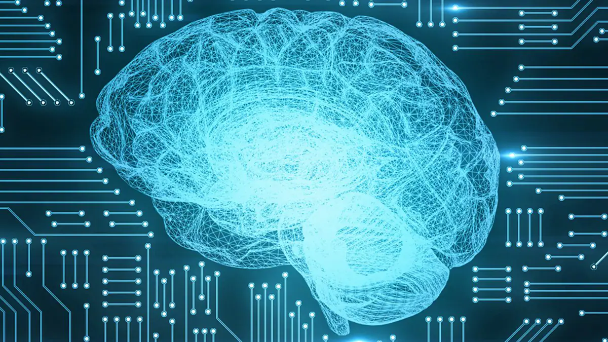 brain with circuit board brain surrounded by circuit board
