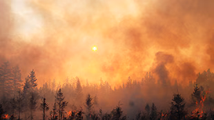 Oregon wildfire burning