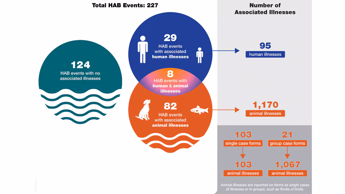 Figure 2: Reported HAB events with associated human and animal cases, 2020.