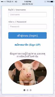 App for farmers and health officers in Thailand to login abnormalities in pigs.