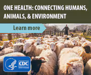One Health button Image of a sheep herd with header text reading "One Health: Connecting Humans, Animals, and the Environment"