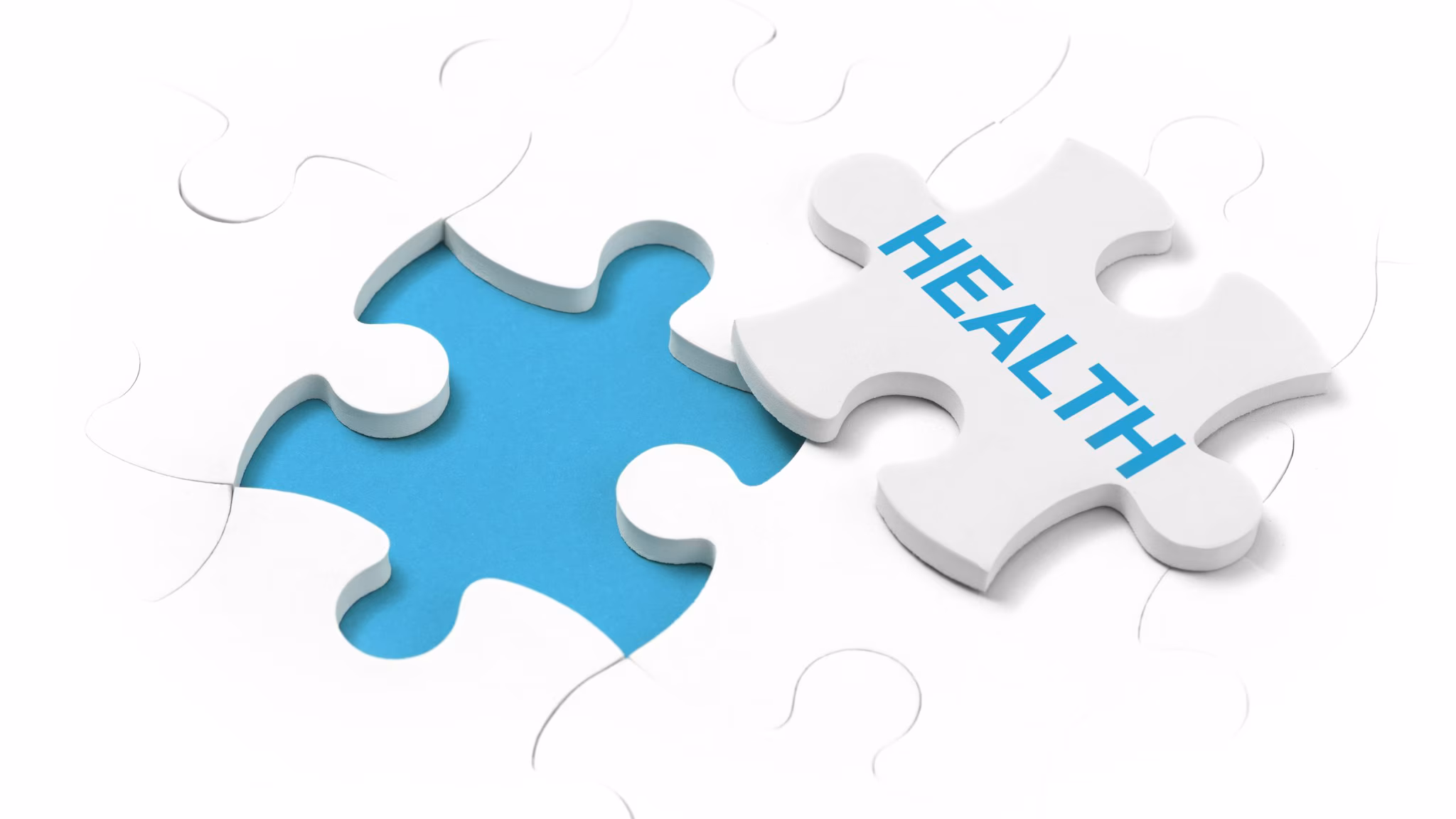 Puzzle piece with "health" written on it.