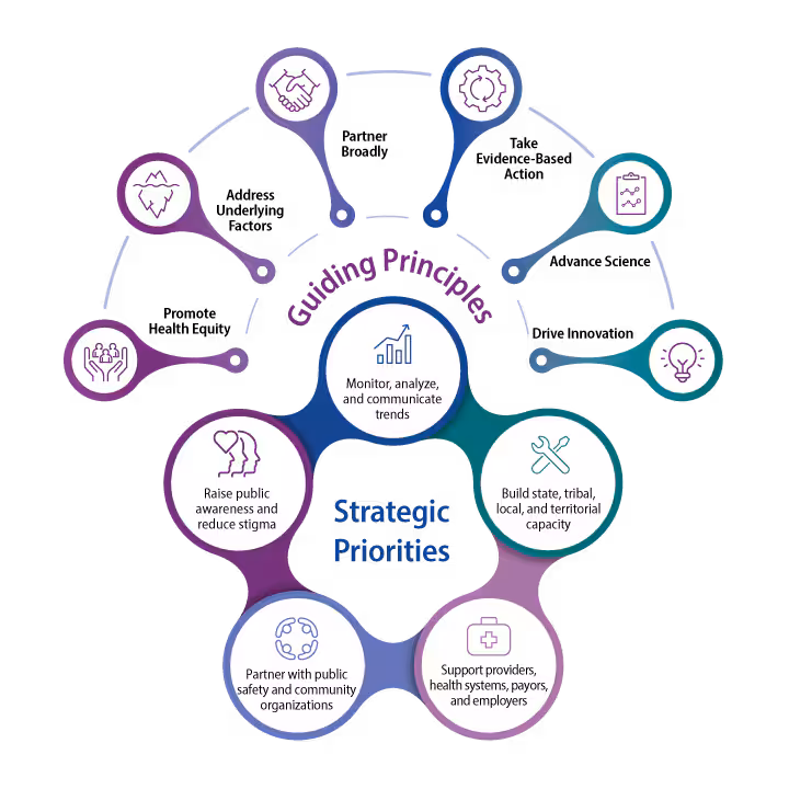 Guiding Principles Infographic Large infographic with the words guiding principles and strategic priorities.