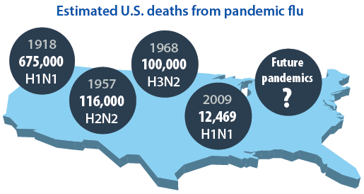 Estimated Deaths Pandemic An influenza pandemic can emerge anywhere and spread globally