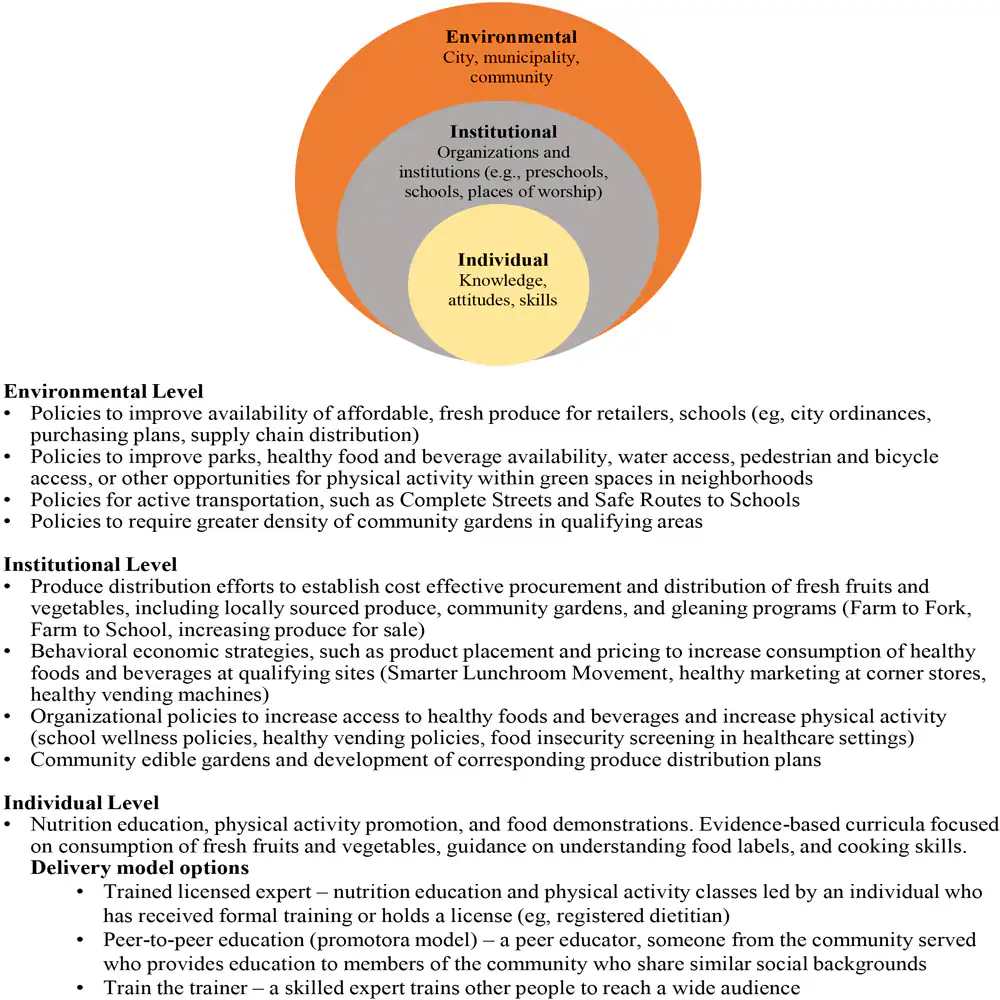 21_0221_01 Social-ecological model implemented by the Supplemental Nutrition Assistance Program Education, Los Angeles County, 2016–2020.