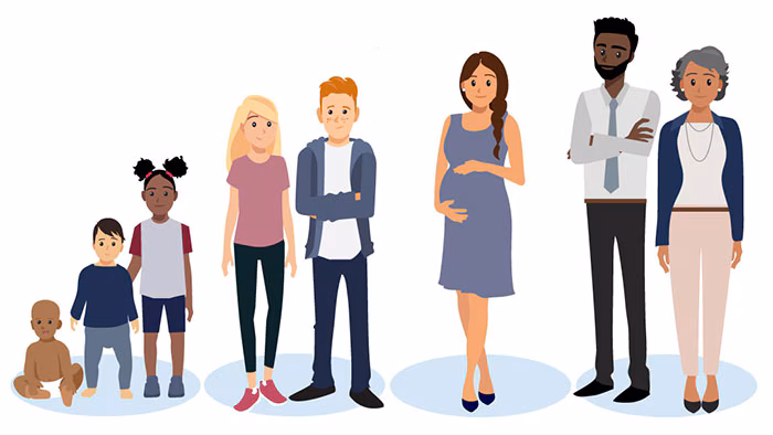 Illustration no words A lineup of people ranging from baby to childhood and up through adulthood.
