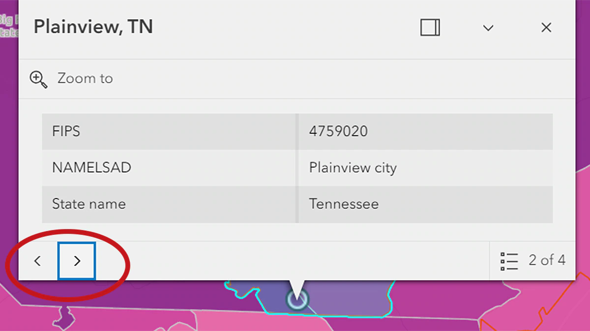 PLACES Map Popup Layer 2 PLACES Map popup displays when a map location is clicked. Arrows allow movement to different area or other layers.