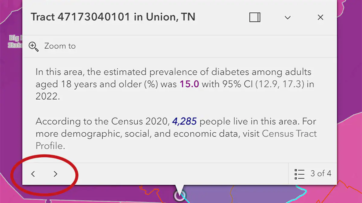 PLACES Map Popup Layer 3 PLACES Map popup displays when a map location is clicked on. Arrows allow movement to other layers.