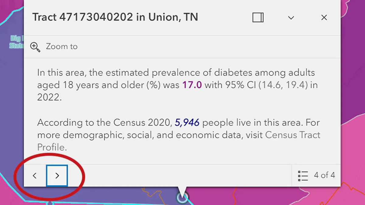 PLACES Map Popup Layer 4 PLACES Map popup displays when a map location is clicked on. Arrows allow movement to other layers.