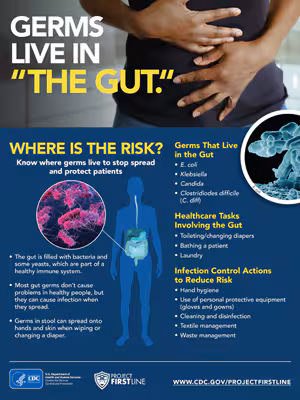 Gut InfoGraphic