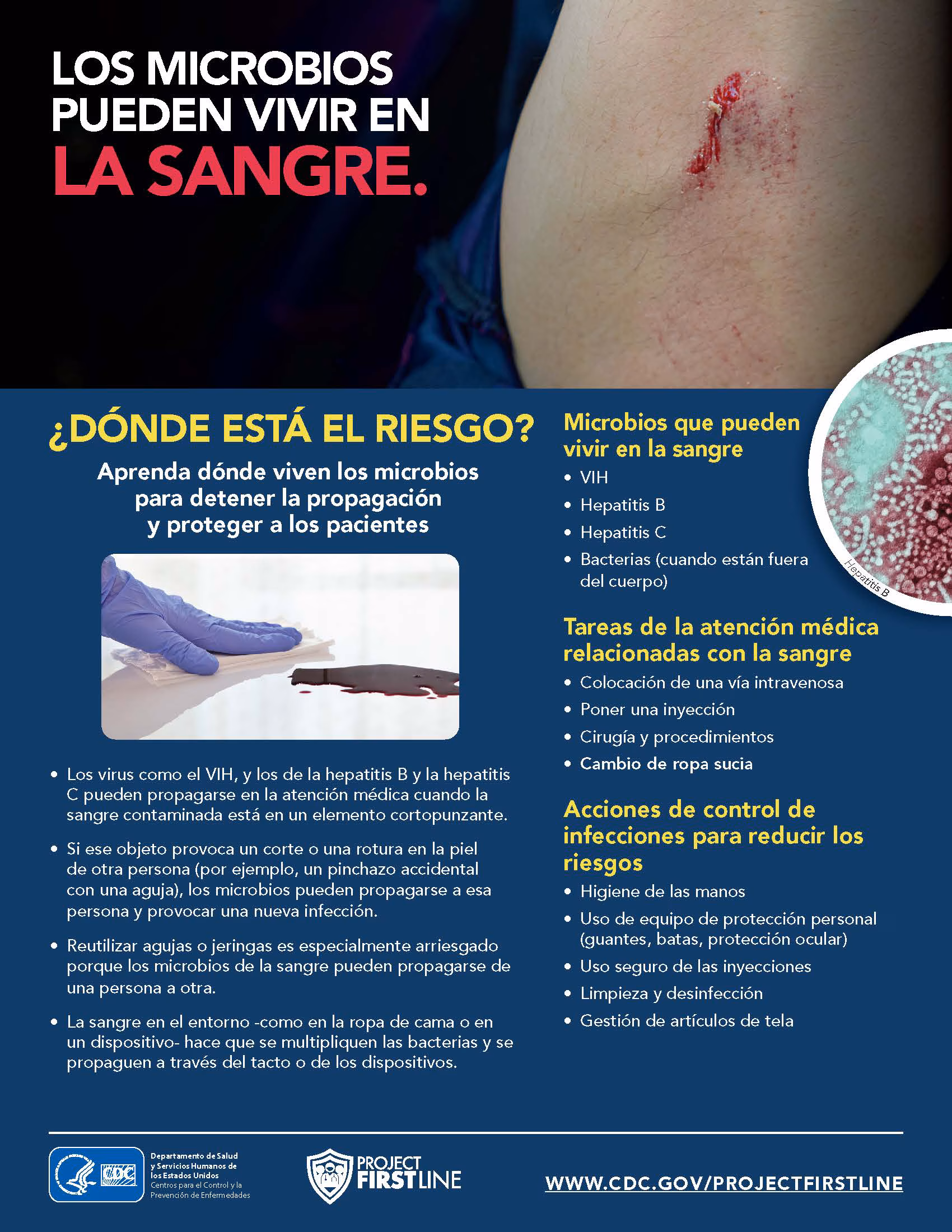 los microbios pueden vivir en la sangre Los microbios pueden vivir en la sangre