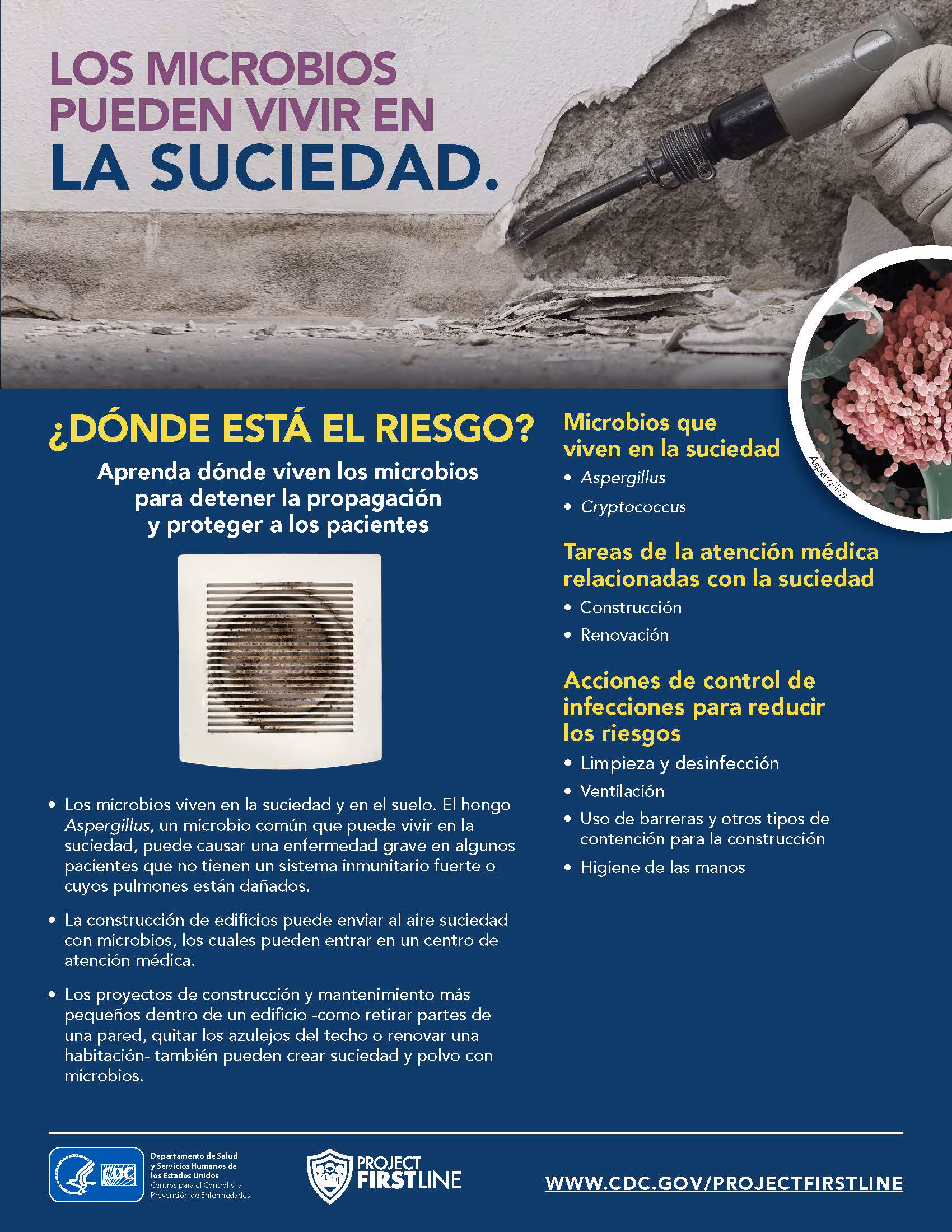 los microbios pueden vivir en la suciedad Los microbios pueden vivir en la suciedad