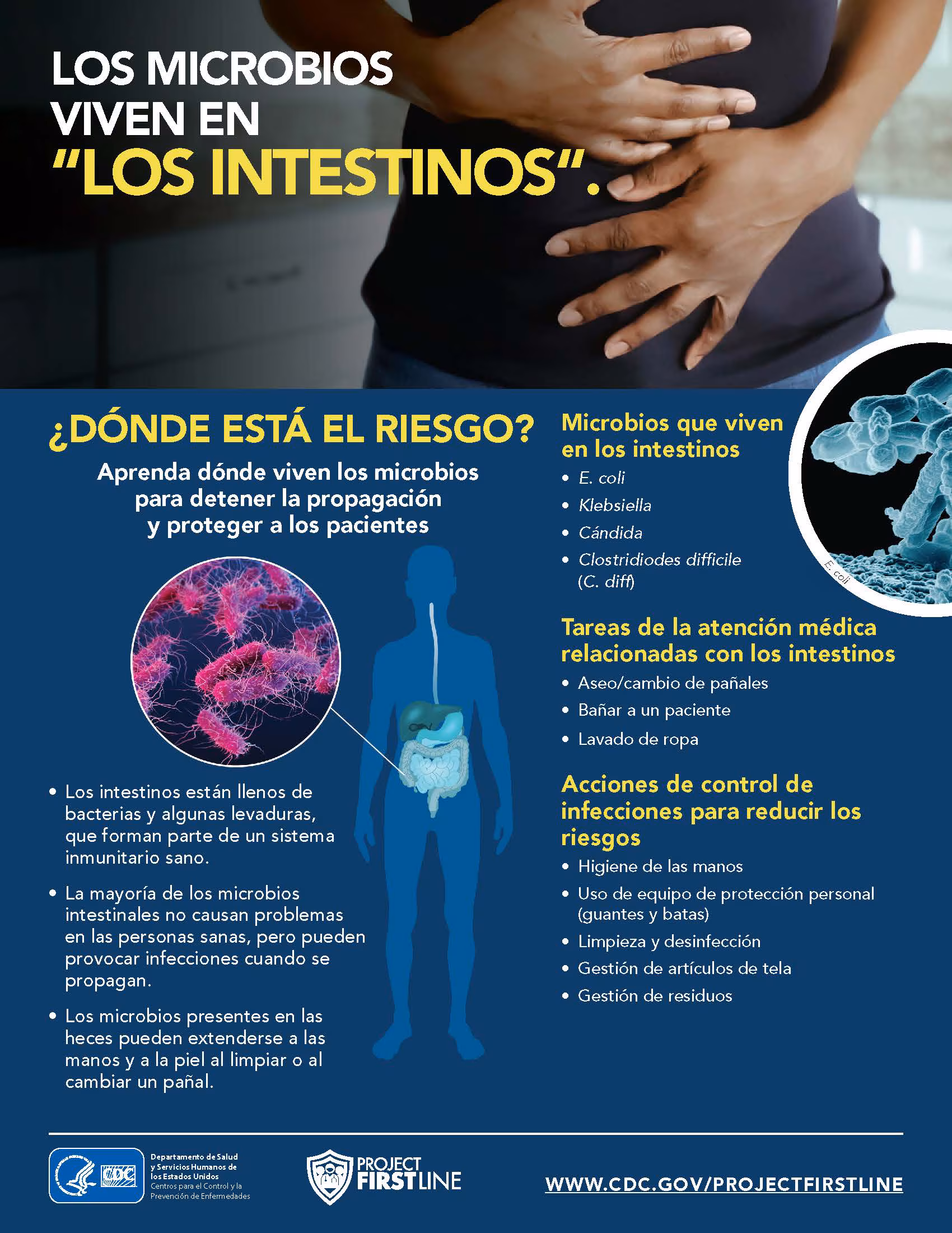 los microbios pueden viven en los intestinos Los microbios pueden viven en los intestinos
