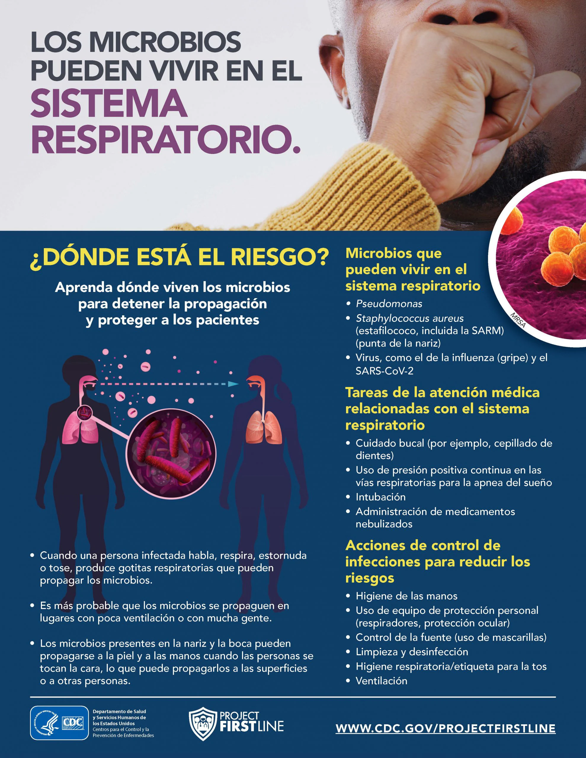 los microbios pueden vivir en el sistema respiratorio Los microbios pueden vivir en el sistema respiratorio