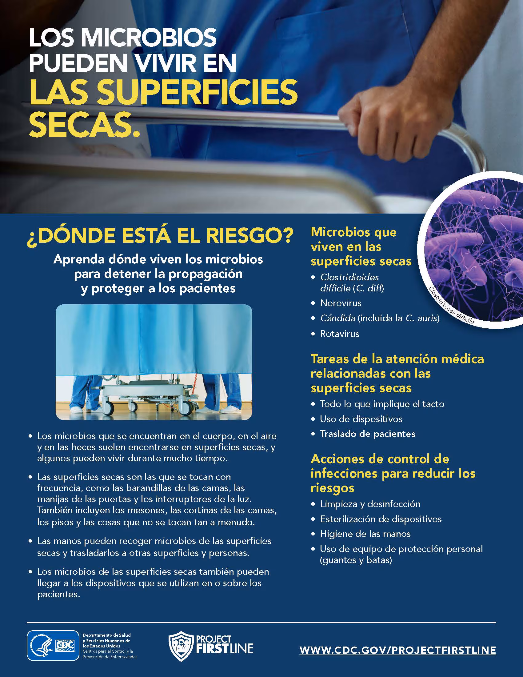 los microbios pueden vivir en las superficies secas Los microbios pueden vivir en las superficies secas