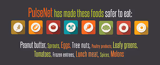 PulseNet has made these foods safer to eat: Peanut butter, sprouts, eggs, tree nuts, pultry products, leafy greens, tomatoes, frozen entrees, lunch meta, spices, melons