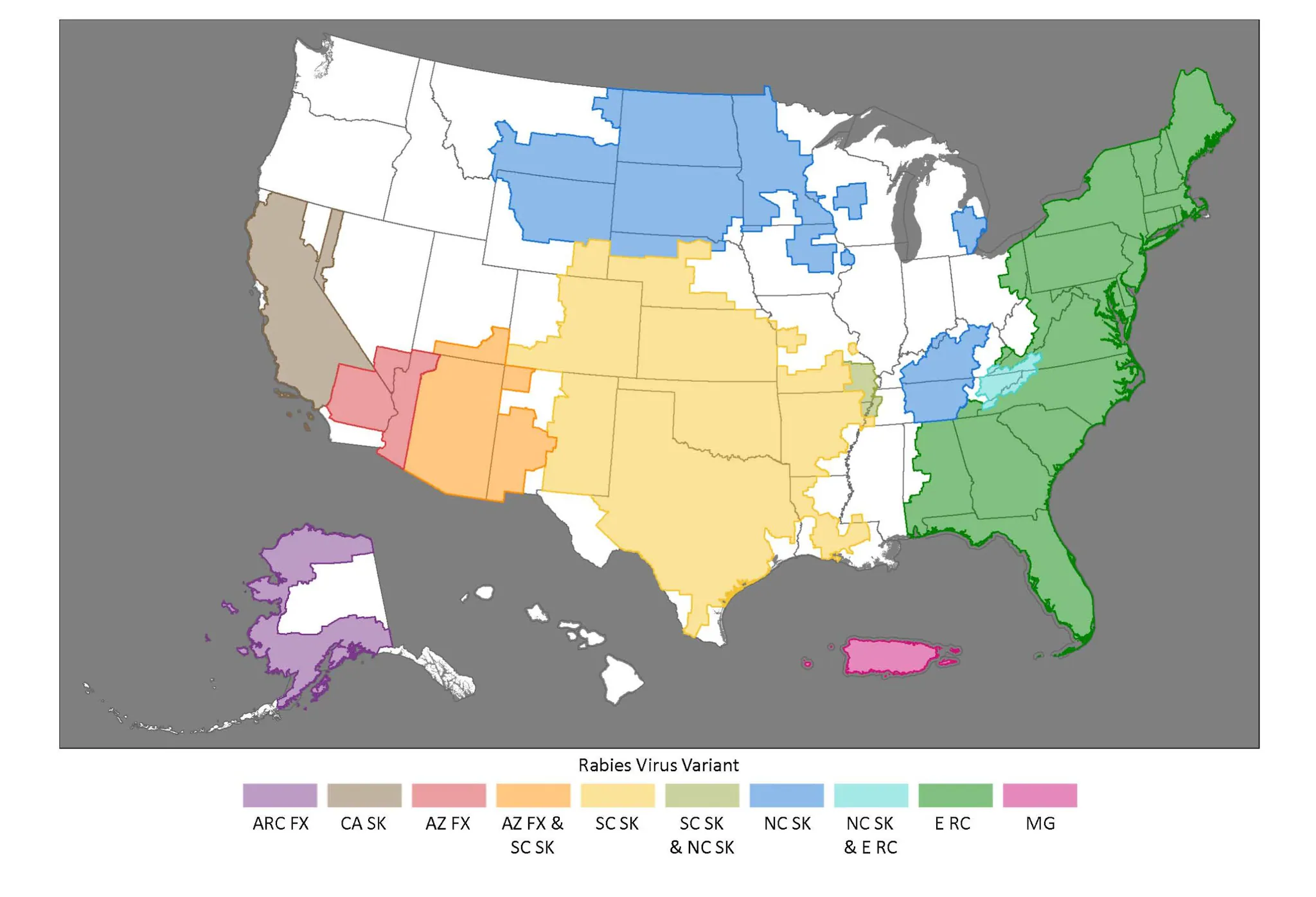 Rabies virus variant, U.S. Map of the U.S. color coded to illustate information.