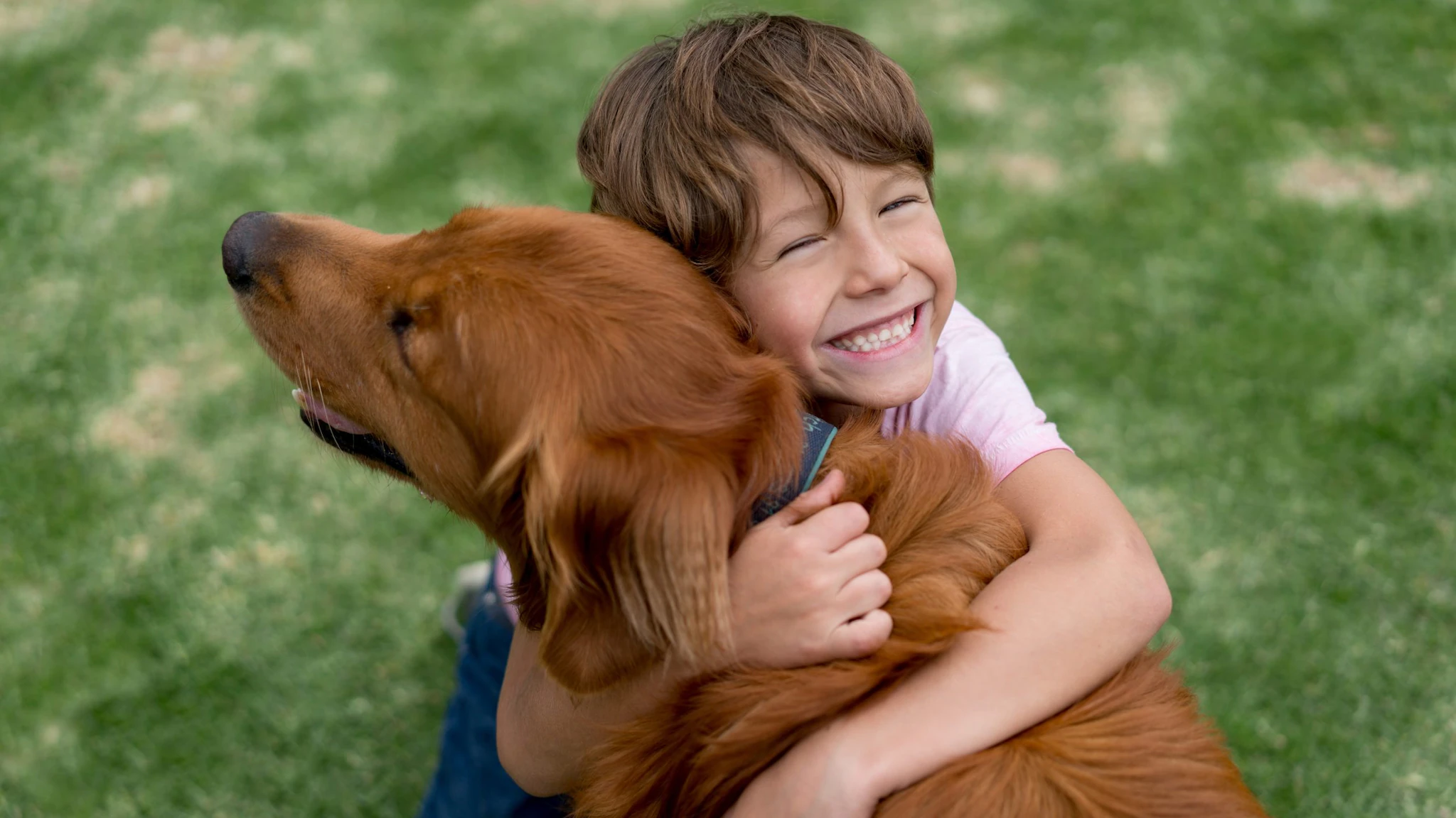 rabies prevention and control Smiling boy hugs dog