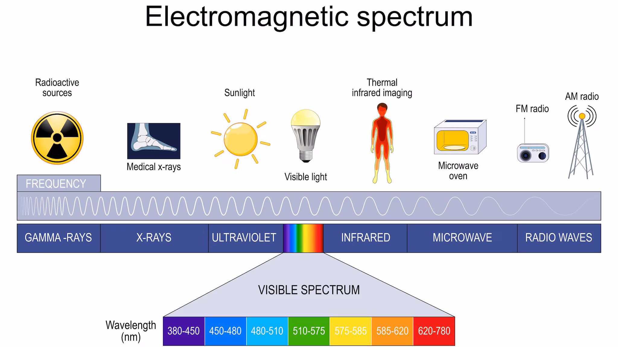 Electromagnetic spectrum. Different types of electromagnetic radiation, includes radio waves, microwaves, infrared, visible light, ultraviolet, X-rays, and gamma rays. frequency, and wavelengths.