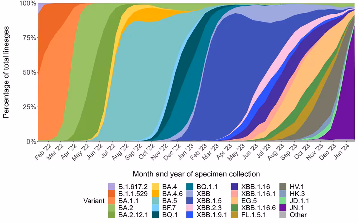 4n A wide range of SARS-CoV-2 variants have been causing infections over time, most recently dominated by JN.1, representing increased transmission or immune escape by successive variants