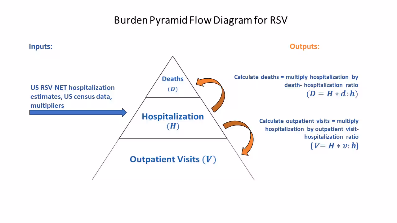 Burden Flow Diagram RSV Starting on the left, there is an arrow that leads to a pyramid. The left-most arrow is labeled "US RSV-NET hospitalization estimates, US Census data, multipliers ". The arrow, labeled "US RSV-NET hospitalization estimates, US Census data, multipliers", is leading right to the middle of the pyramid, which is labeled "Hospitalization (H)". In the pyramid, the base is labeled "Outpatient Visits (V)", and the top is labeled "Deaths (D)". On the right-side of the pyramid are arrows coming from the middle section titled “Hospitalization (H)”, with one leading up to the top section, labeled "Deaths (D)", and another arrow leading down to the bottom section, labeled "Outpatient Visits (V)”.