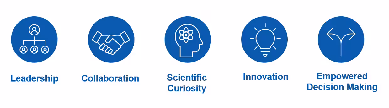rural public health strategic plan value Image displaying five icons arranged horizontally with titles underneath each. From left to right, the titles are Leadership, Collaboration, Scientific Curiosity, Innovation, and Empowered Decision Making.