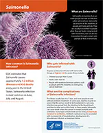 Salmonella-Factsheet-1-200px.jpg Thumbnail image of factsheet pdf