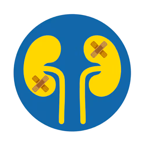 Illustration showing kidneys with damage.