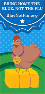 More information about the bring home the blue not the flu program is available at bluenotflu.org. Pictured is a chicken with a medal around its neck standing on a hay bale.