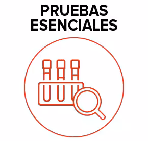 Pruebas Esenciales (Testing Essentials) PEP (profilaxis posexposición) significa tomar medicamentos para prevenir el VIH después de una posible exposición