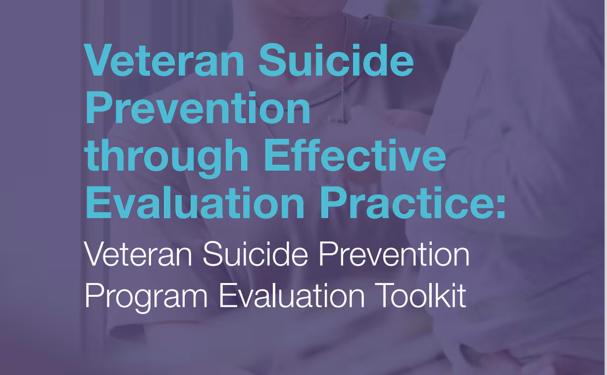 Veteran suicide prevention through effective evaluation practice: veteran suicide prevention program evaluation toolkit