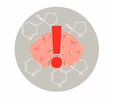 La nicotina puede dañar el cerebro adolescente en desarrollo. El cerebro se desarrolla hasta alrededor de los 25 años. Hay una ilustración de un cerebro con un signo de exclamación.