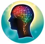 Infografía del cerebro humano